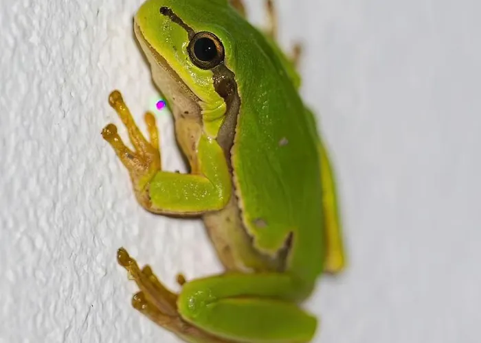 Portita Spre Delta דירה יורילובקה