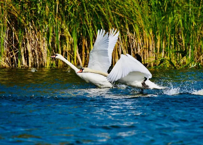 דירה Portita Spre Delta