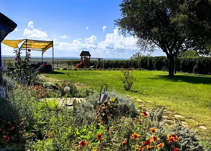 Portita Spre Delta *