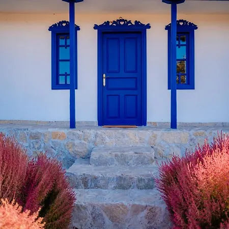 Portita Spre Delta Prázdninový dům