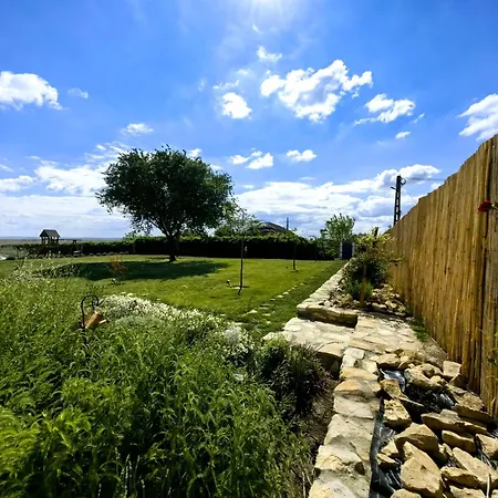 Portita Spre Delta *